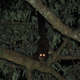 Illustration for article titled Adorable New Species of Flying Squirrel Discovered in China
